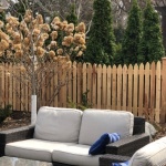 4' Scalloped gothic picket