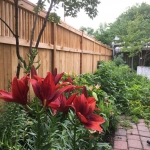Cap & Rail with lattice privacy fence
