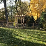 Hog-Panel w/Pergola gate