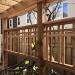 Pergola detail