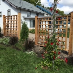 Cedar Trellis
